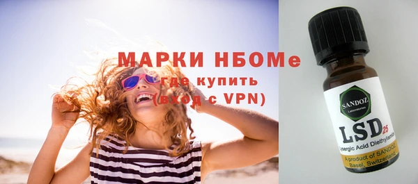 индика Абинск