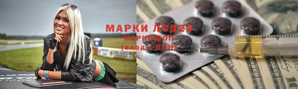 индика Абинск