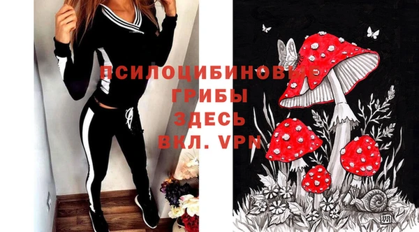 индика Абинск