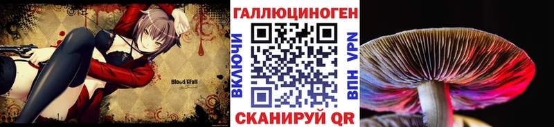 Псилоцибиновые грибы Psilocybine cubensis  Майский 